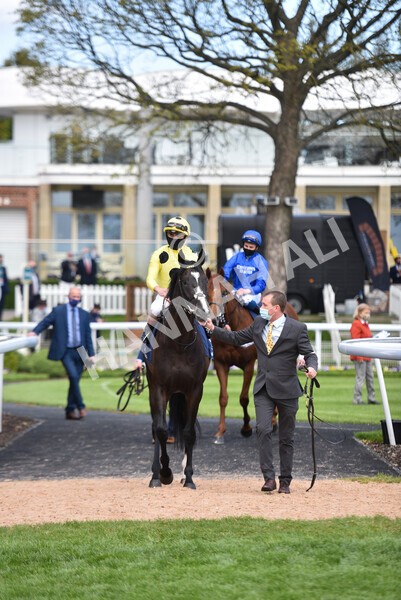 yr13052021r4-23 - Race 4 3.10pm Al Basti Equiworld Dubai Dante Stakes
