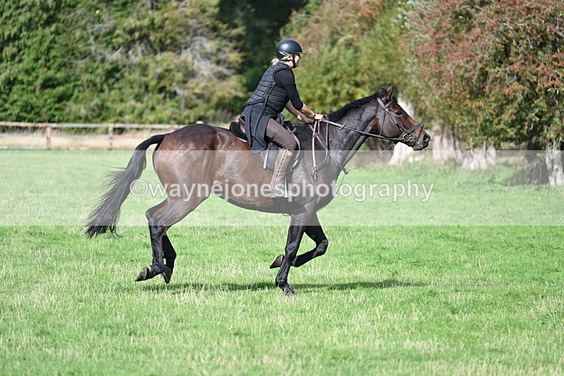 WJ7_8760 - Time 12:40 to 12:54