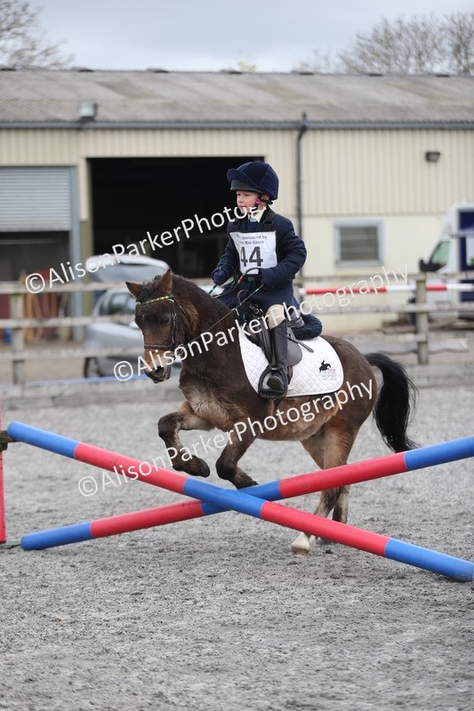 20260412-0558 - Show Jumping