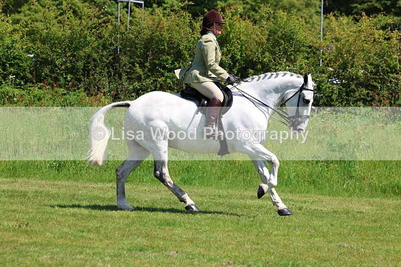 3E7A8279 - Class 13: Ridden Hunter
