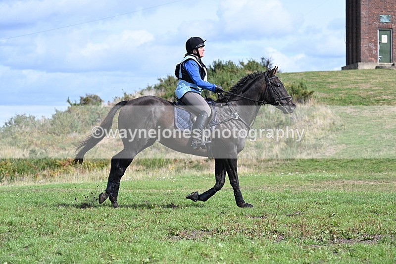 WJ7_1829 - Time 13:17 to 13:53