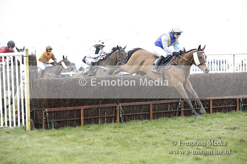 PtP 150320 0297 - New Forest Point-to-Point Larkhill 15/03/20