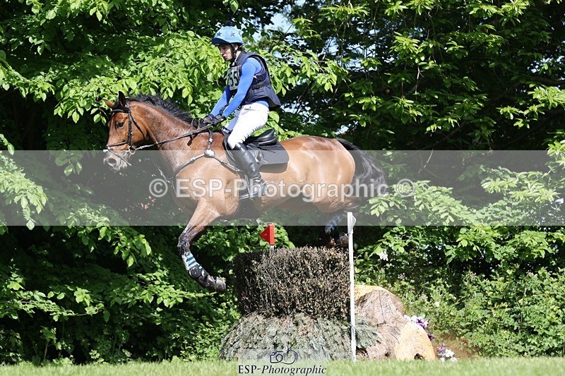 230527-102525-08329 - 255-HI_MR_HENRY-Henry_Hobby-XC