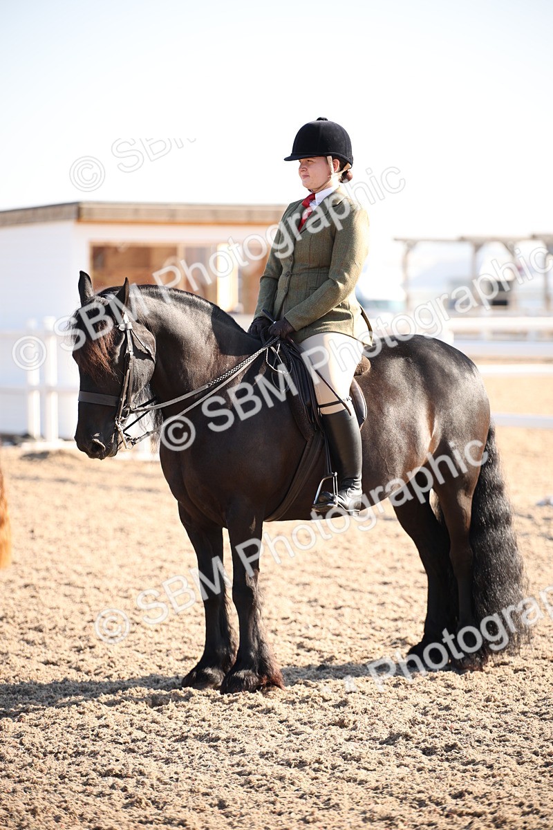 SBM_00709 - Class 14 Ridden M&M Wildcard