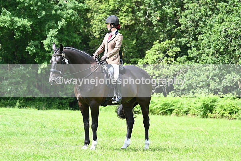 WJ7_1328 - Class 11 Condition & Turnout