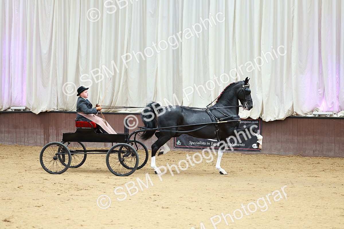 SBM_000995 - Class 13  - HHS Championship Intl Hackney Horse to a Show Wagon