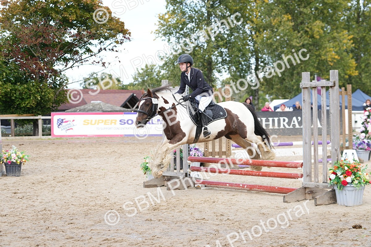 SBM_40731 - Supreme Championship Pony 50-55cm