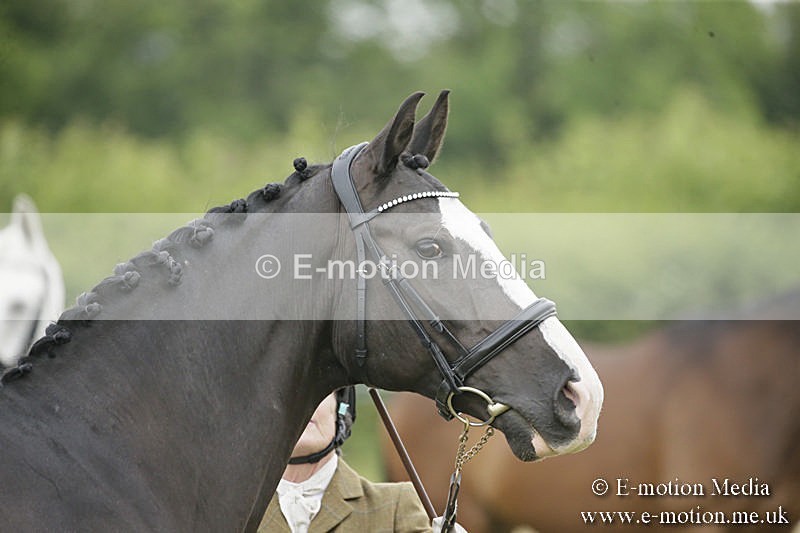 B230619-0277 - Bourne Valley Riding Club Summer Show 23/06/19