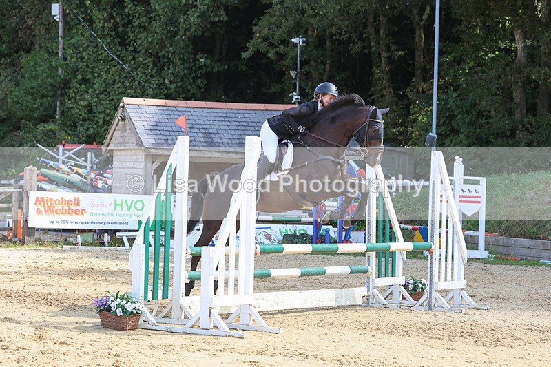 3E7A0658 - Class 4: Senior British Novice/90cm open