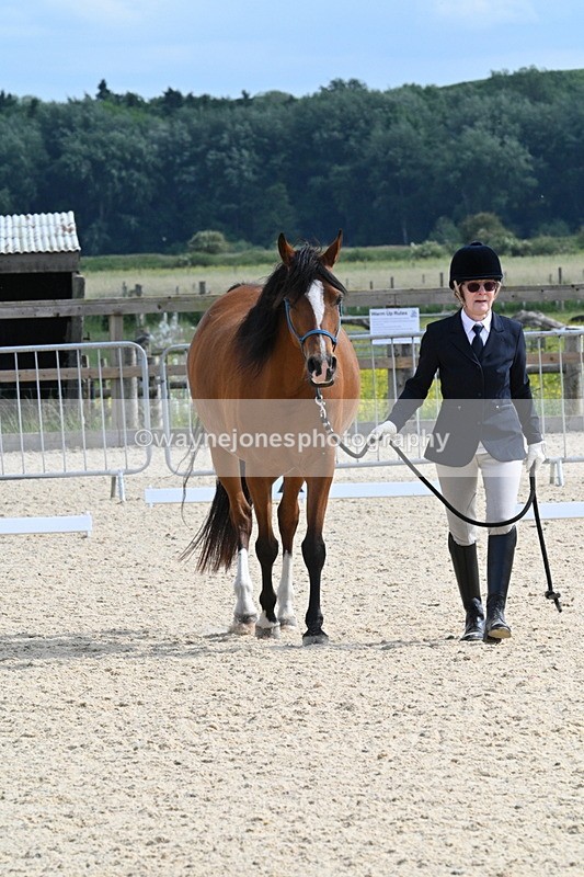 WJ7_8224 - Time 16:10 to 16:25