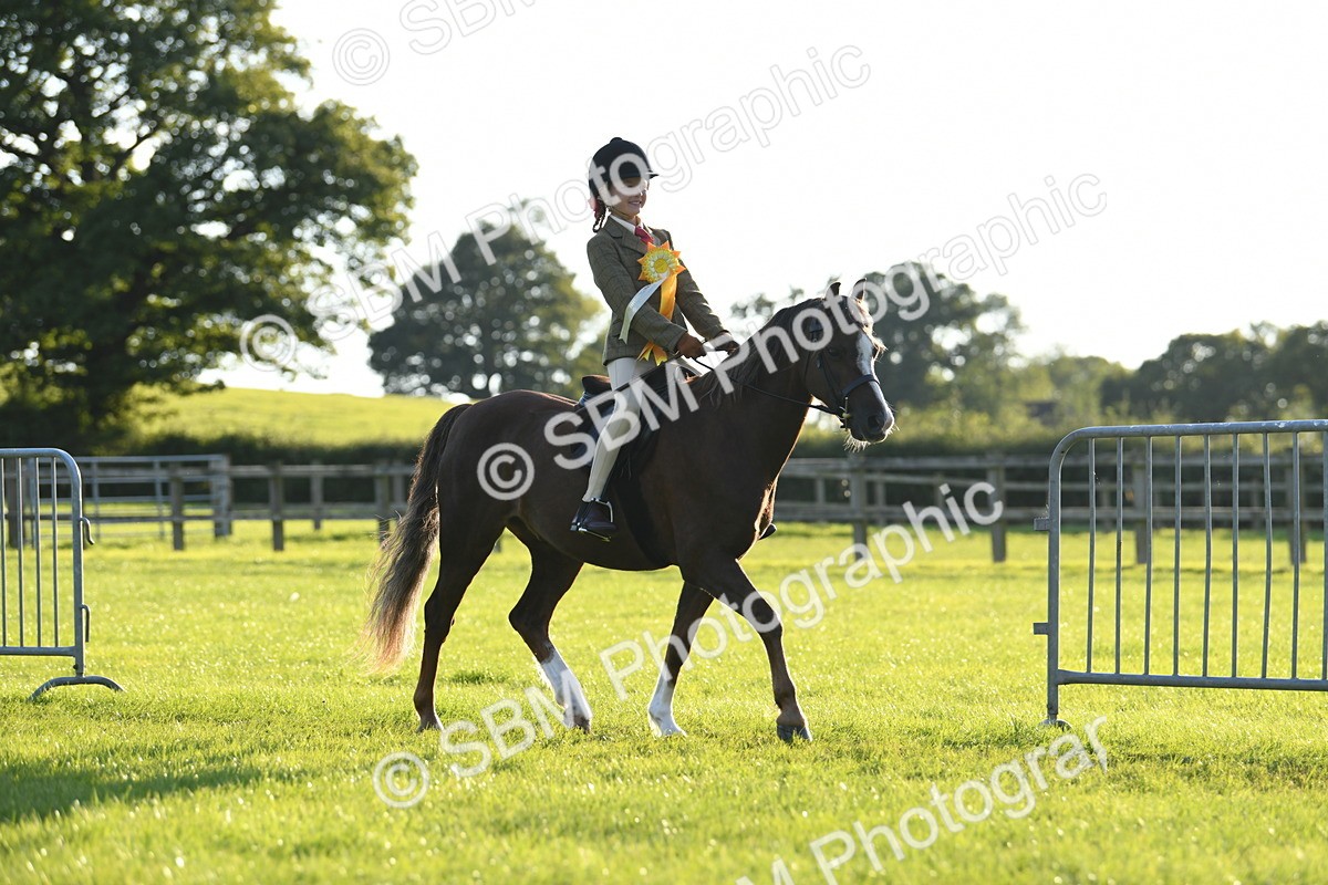 SBM_54219 - S23 - 1st Ridden Mountain & Moorland Pony