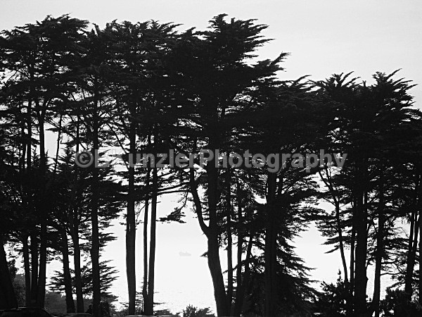  - San Francisco Coast