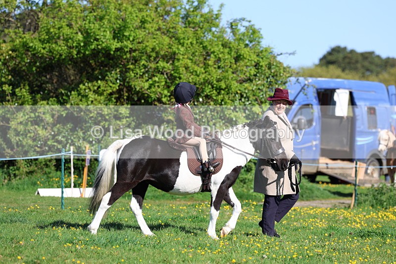 3E7A8468 - Class 2: Lead rein