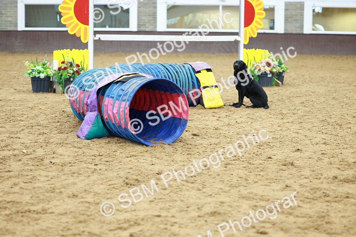 SBM_002452 - Class 3 - Horse & Hound (60cm)