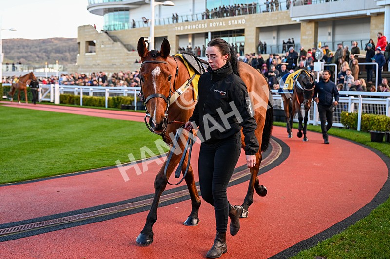 141224-Race 1-Moutarde-0232 - Race 1