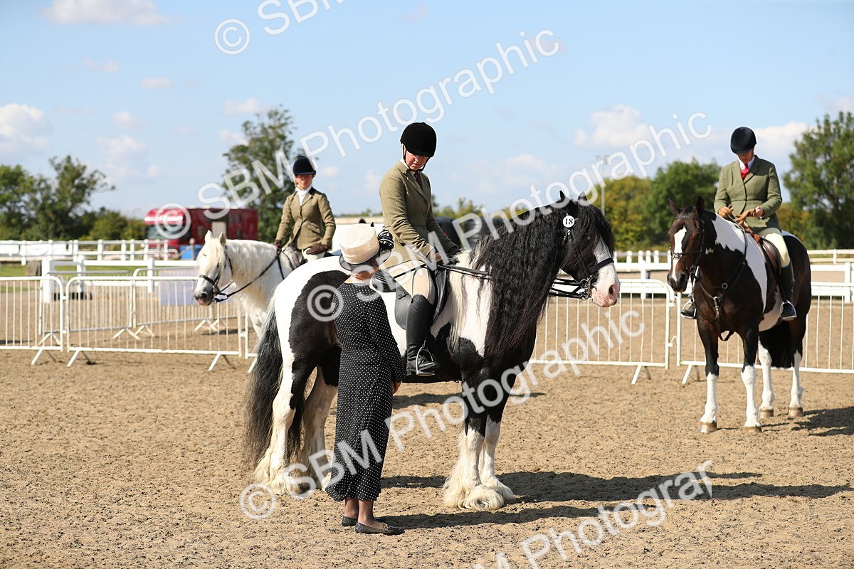 SBM_03220 - Class 44 Riding Club Horse/ Pony