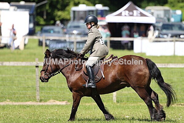 IMG_3614 - Working Hunter