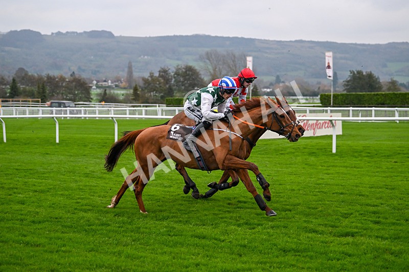 151124-Race 5-Rockstown Girl-8415 - Race 5