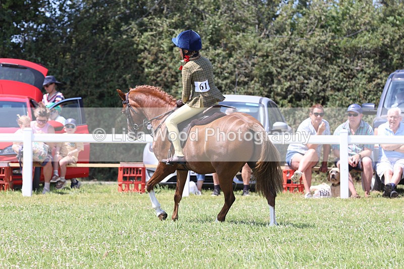 JPP_2747 - Class 21: Working Hunter 60cm