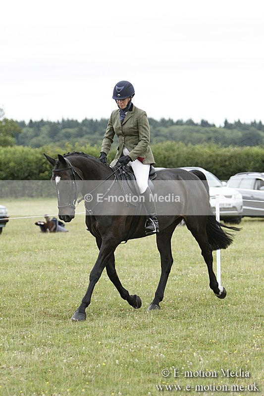 BVR160717-924 - Ring 3 BVRC Show 16/07/17