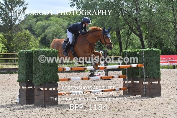 BPP_1184 - Senior Newcomers/ 1.10m Open