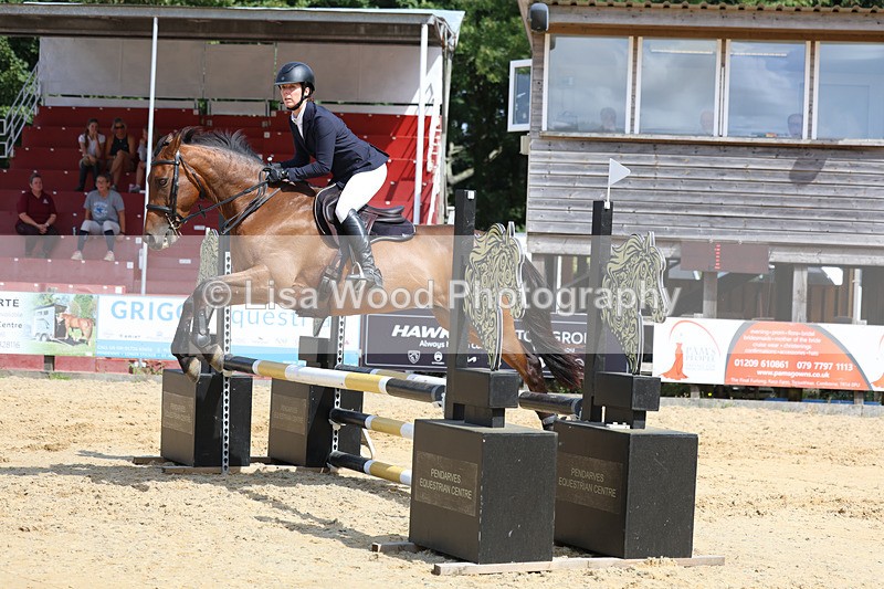 3E7A3682 - Class 4: Senior British Novice/90cm open
