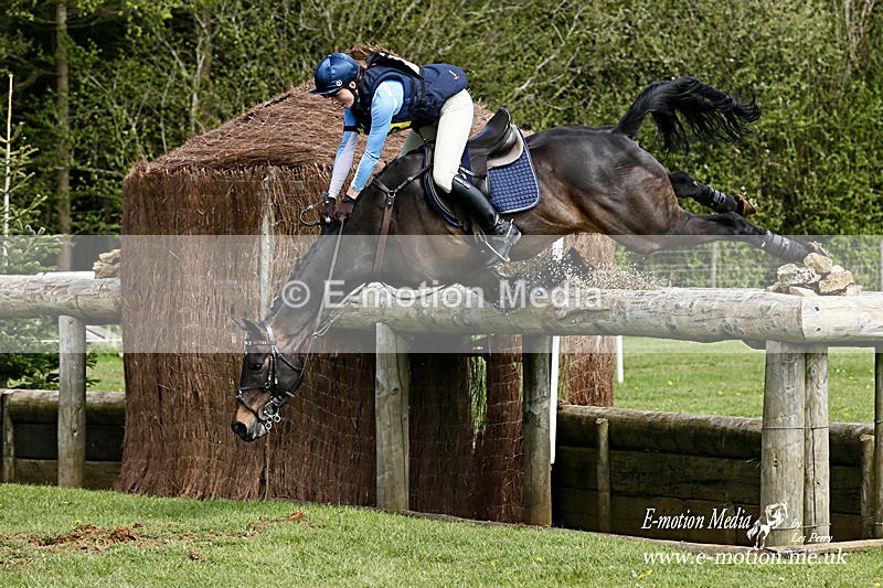 _LES8236a - Equestrian