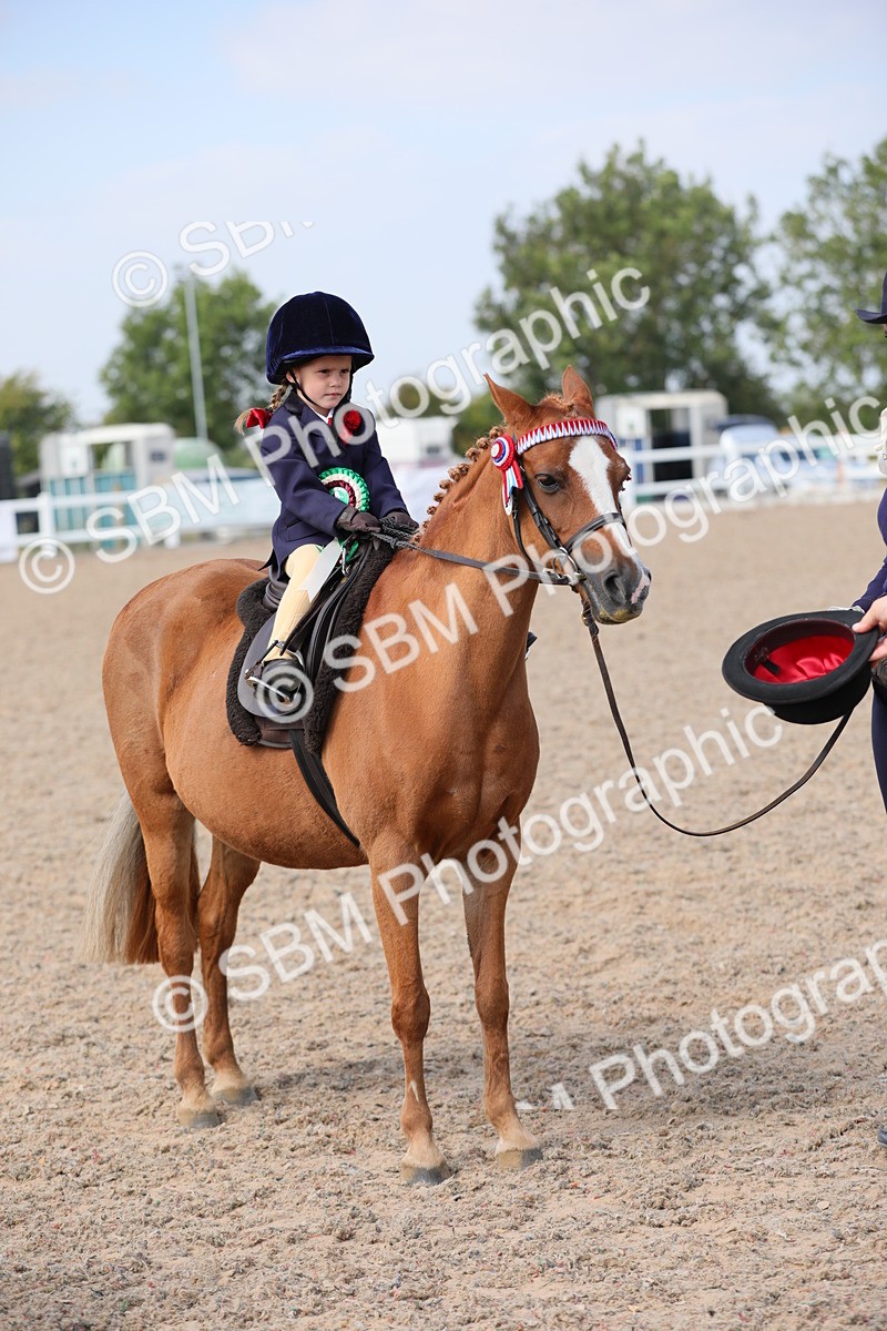 SBM_14113 - Class 309 Lead Rein Pony