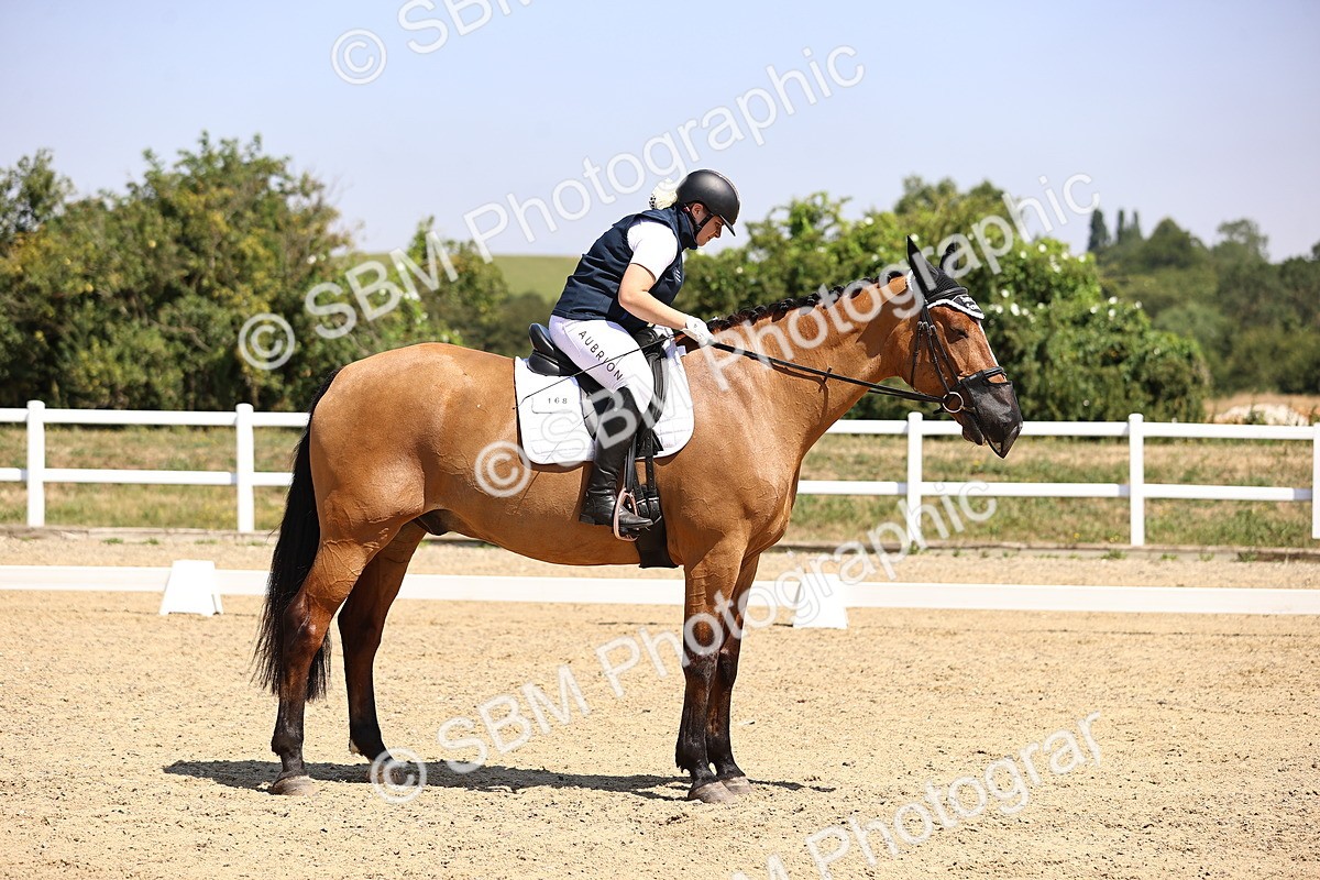 SBM_003997 - Intro 2