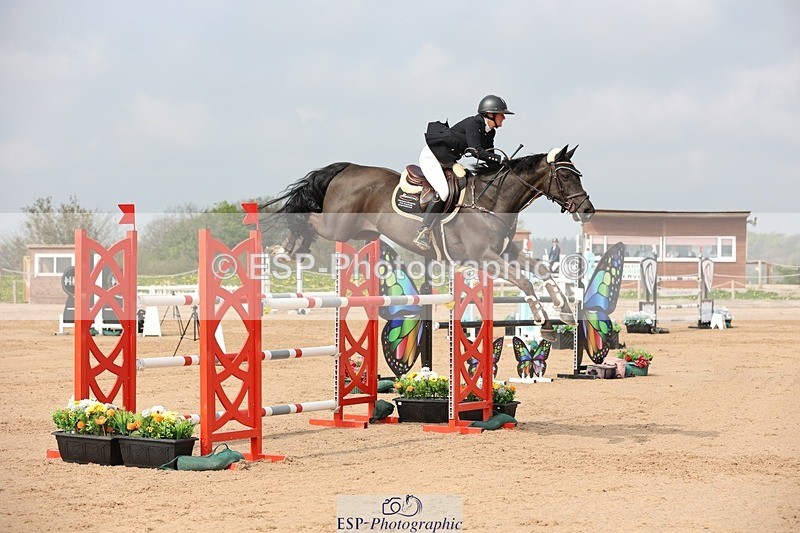 250424-104416-03196 - Cls 33 Young Horse 7yr old