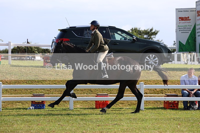 3E7A8686 - Class 3: Rising Star S/L Hunter