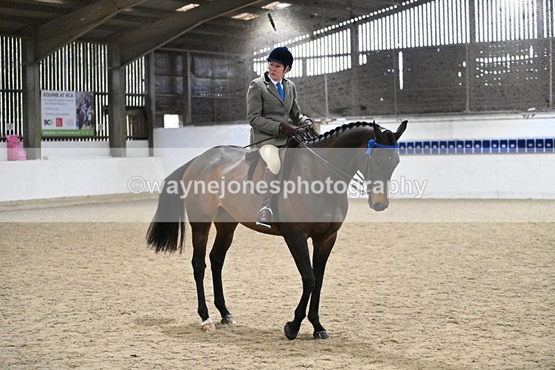 WJ7_4334 - Class 17 Ridden Cob