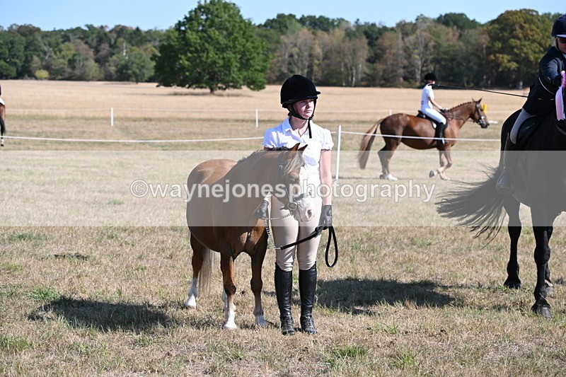 WJ6_7685 - Class 34 Judges Choice