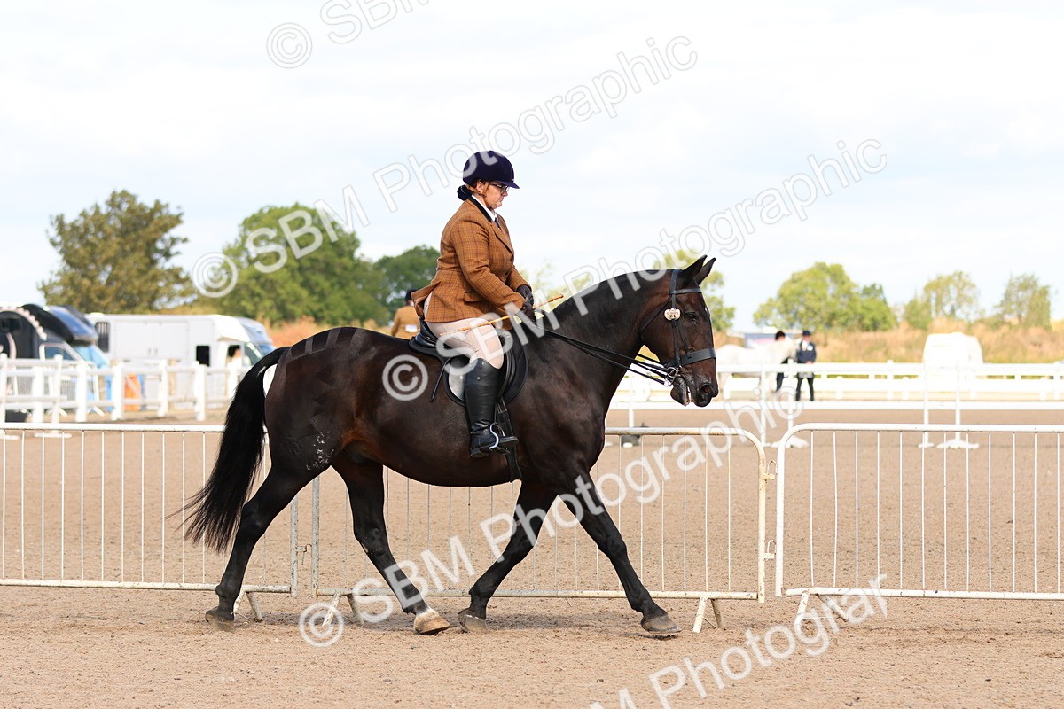 SBM_13464 - Class 212 - Ridden Hunter  - Large