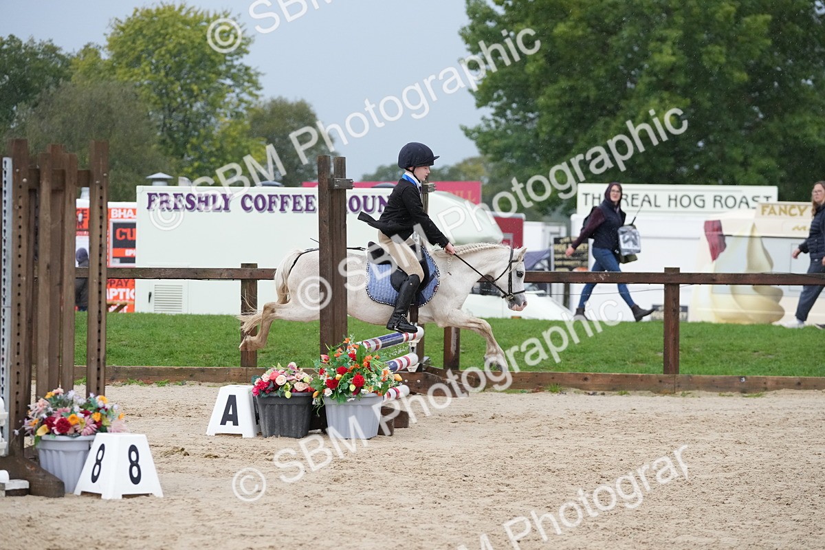 SBM_33901 - J5 - Junior Pony 50cm Championship