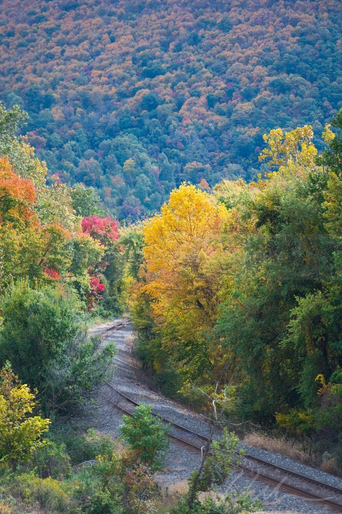 DSC_7410 - Autumn