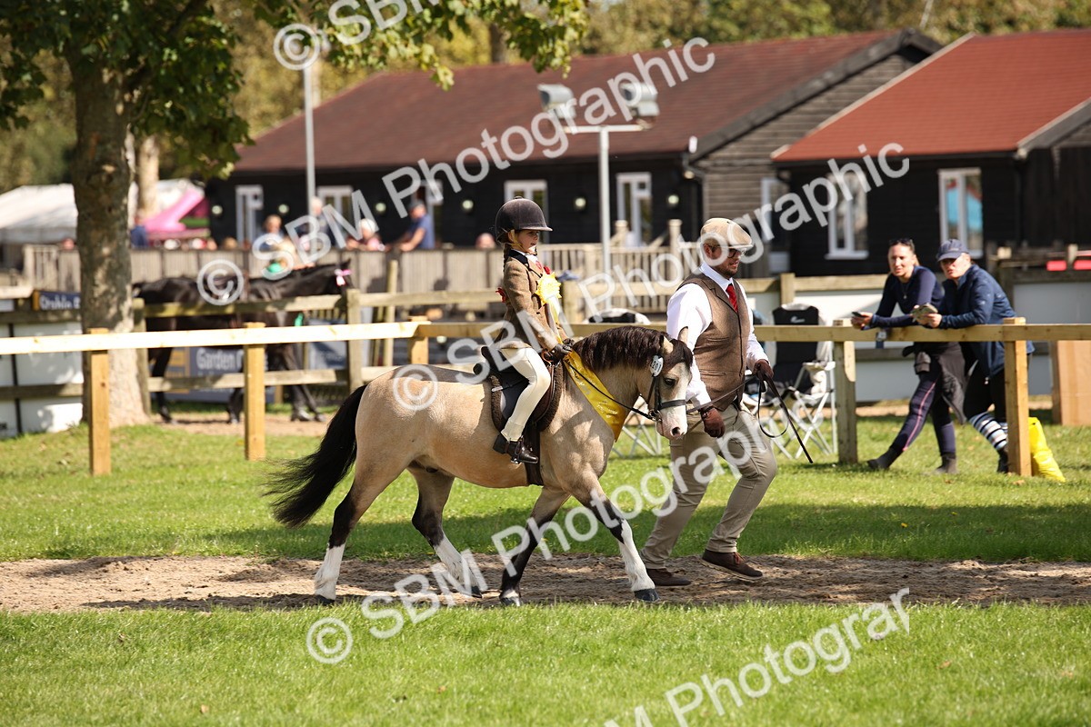 SBM_40889 - Fun Showing Supreme Championship
