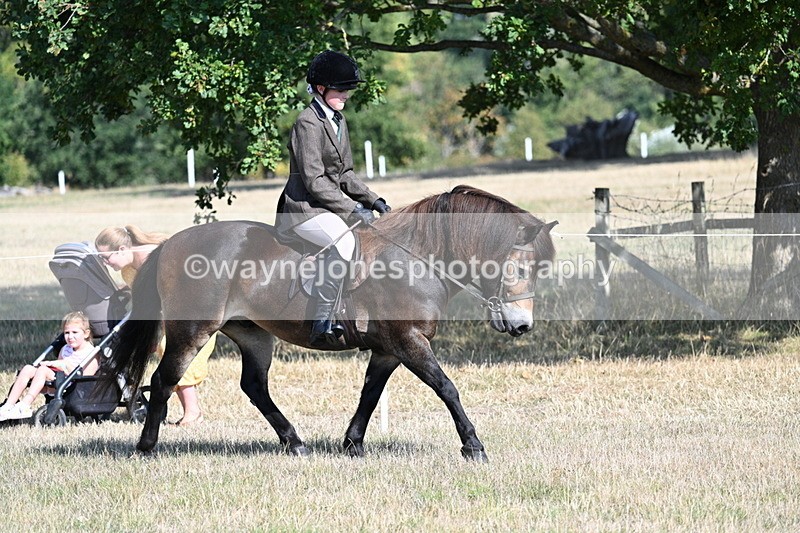 WJ7_2904 - Class 8 Ridden Tack & Turnout