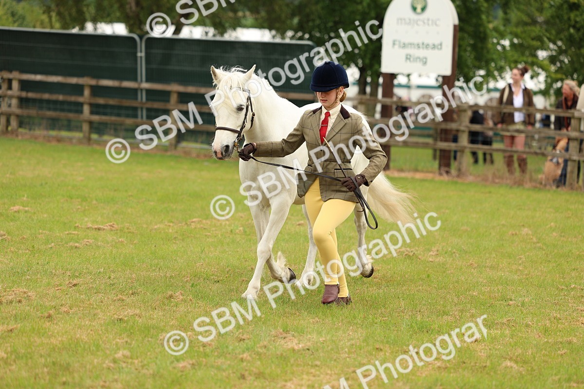 SBM_04213 - Class 64-67 - Shetland Pony In Hand