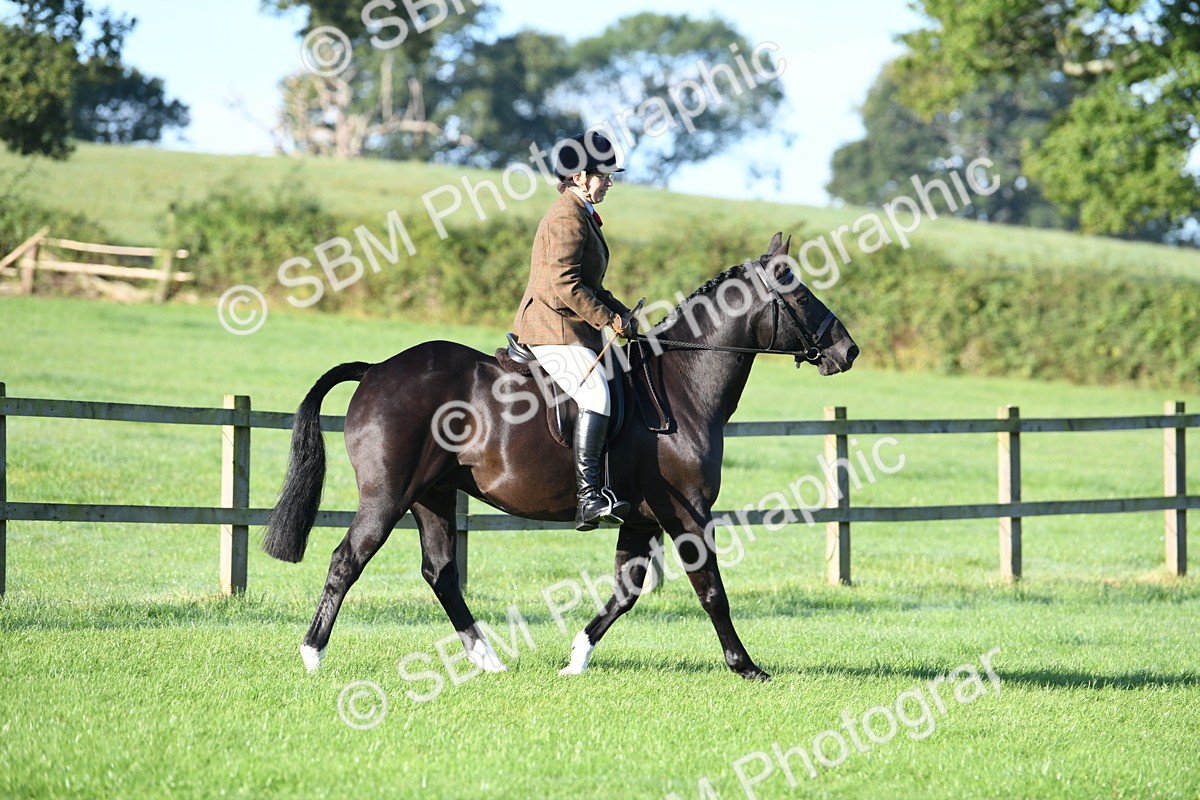 SBM_33997 - S16 - Condition & Turnout - Ridden