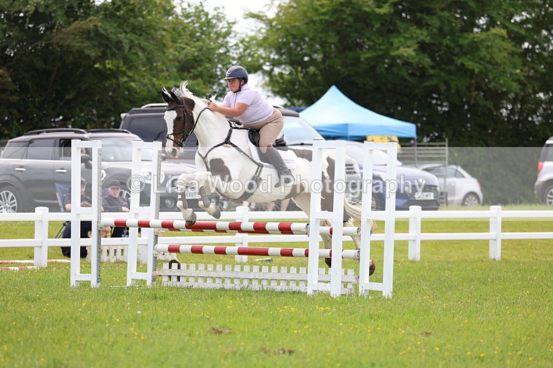3E7A1690 - Class 13: Senior British Novice/90cm open