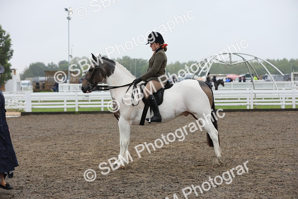 SBM_20602 - Class 804 - Ridden Veteran Pony
