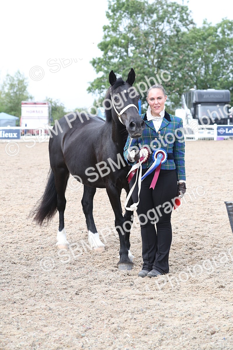 SBM_23338 - Class 606 - 2025 Area - IH Pre Vet