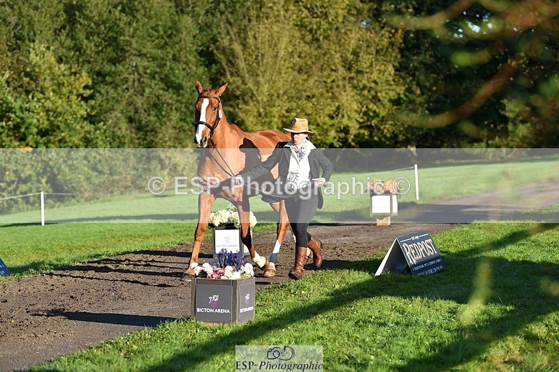 231022-093102-21844 - 607-RICO.III-Alison.Stewart-TrotUp+SJ