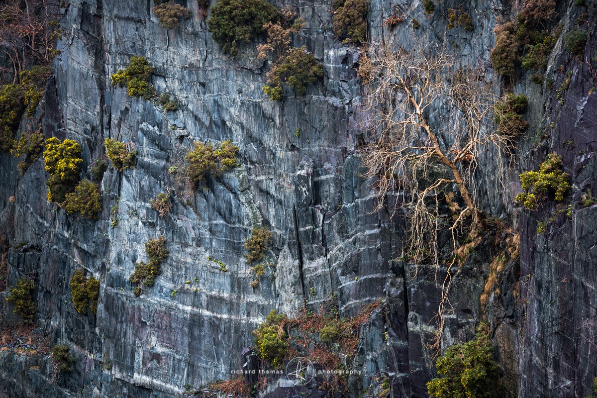 Golden threads - Repossession