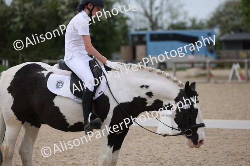 20260502-1082 - Class 9 - Novice 1