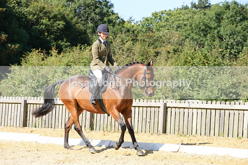 1X9A7873 - Class 10:Riding Horse