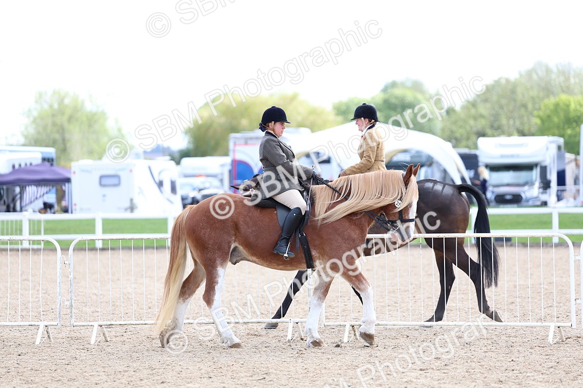 SBM_17067 - Class 315 - Best Horse - Rider Combination