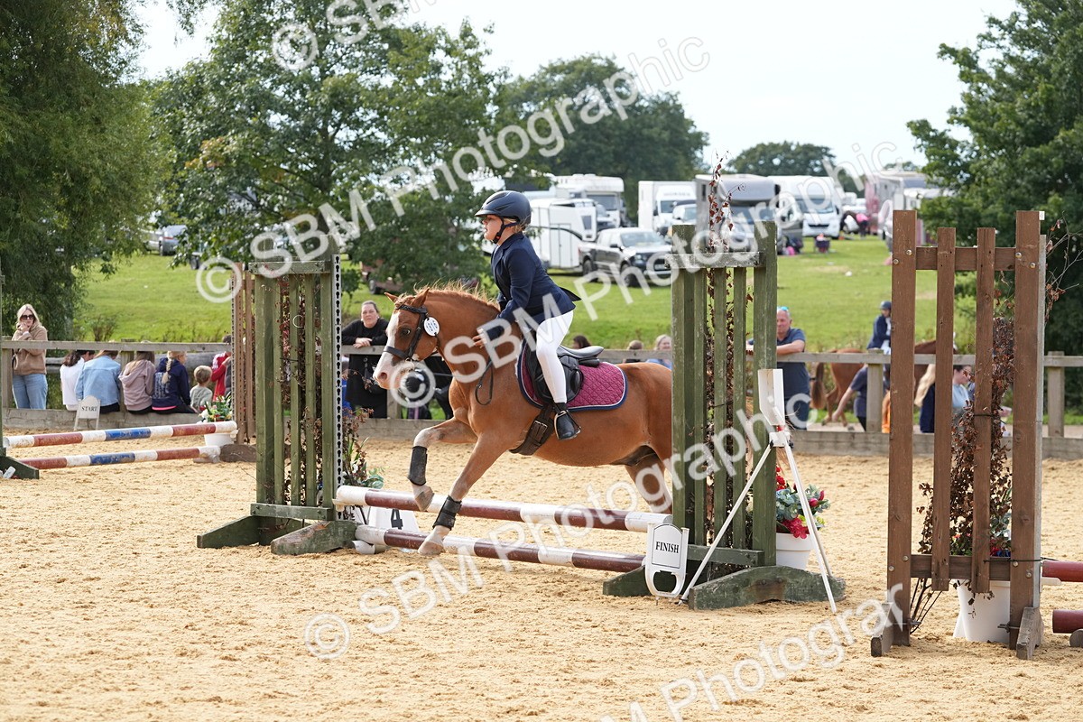 SBM_70537 - J3 - Mini Tour Junior Pony 40cm Championship