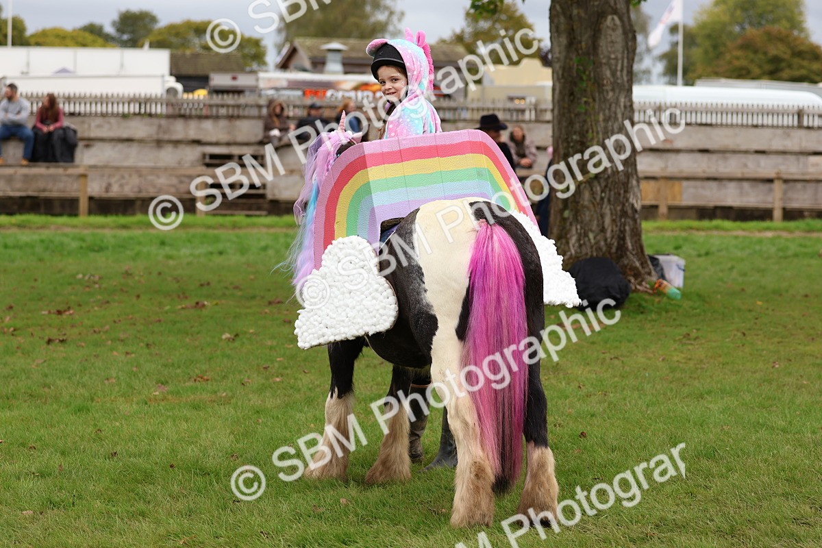 SBM_62200 - S37b - Best Unicorn